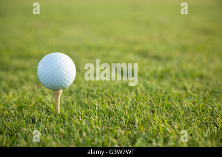 Palla da golf sul raccordo a T sul campo da golf Foto Stock
