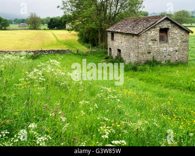 Campo fienile vicino al West Burton in estate Wensleydale Yorkshire Dales Inghilterra Foto Stock