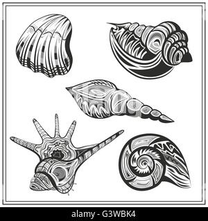 Impostare in bianco e nero di conchiglie Illustrazione Vettoriale