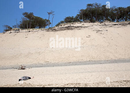 Uomo solitario dormendo sulla spiaggia sabbiosa con alberi di pino sulla cresta duna del Pyla Francia meridionale Foto Stock