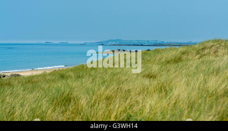 Vista da Porth Nobla, Rhosneigr, Anglesey Foto Stock