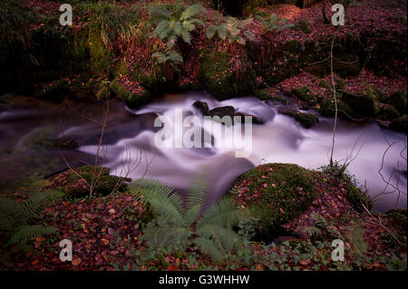 Kennal Vale una cascata lunga esposizione con la graduazione sfocata del fiume Foto Stock