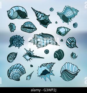 Collezione di conchiglie Illustrazione Vettoriale