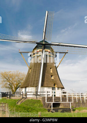 Il famoso Delphine/De Molen Oostzijdse mulino sul fiume Gein, vicino Abcoude, Utrecht, Paesi Bassi. Dipinti di questa wi Foto Stock