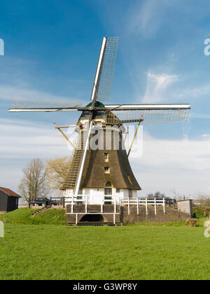 Il famoso Delphine/De Molen Oostzijdse mulino sul fiume Gein, vicino Abcoude, Utrecht, Paesi Bassi. Dipinti di questa wi Foto Stock