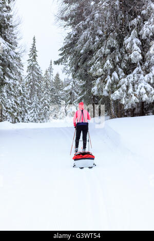 Giovane donna lo sci di fondo con tirare dietro baby pulk sled Foto Stock