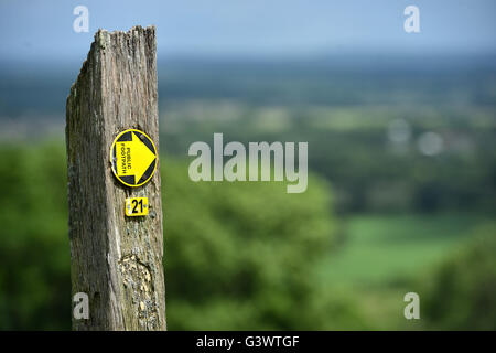 Sentiero marcatore in South Downs National Park, Sussex Foto Stock