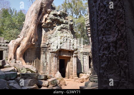 Un cancello per le antiche rovine di templi di Ta Prohm, Angkor, Cambogia, travolto da una foresta radici di albero Foto Stock