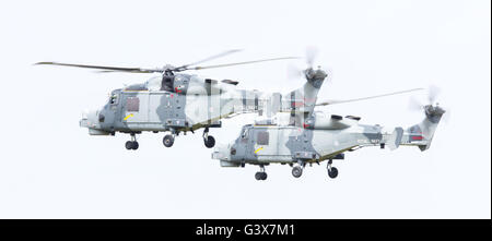 LEEUWARDEN, Paesi Bassi - 11 giugno 2016: Royal Navy (Gatti Neri Team Display) Agusta Westland AW-159 Wildcat HMA2 esecuzione Foto Stock