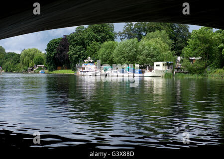 Barche in Runnymede in Surrey UK Foto Stock