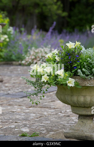 Flora urna di pietra in un giardino cottage. Ashton sotto la collina, Wychavon district, Worcestershire, Inghilterra Foto Stock