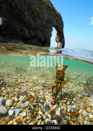 A livello diviso immagine subacquea alla porta di Durdle, Dorset con vescica wrack alghe e ciottoli colorati Foto Stock