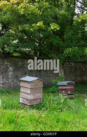 Lavorando alveari a Igtham mote, Kent. Foto Stock