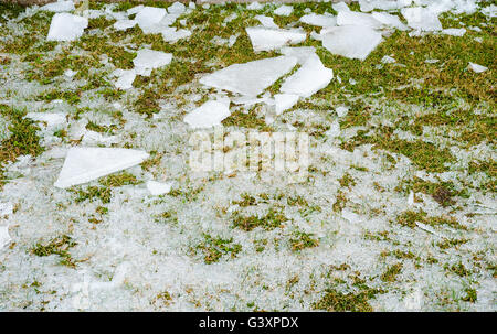 Random pezzi rotti di ghiaccio e gelo sparsi e fusione su erba verde. Foto Stock