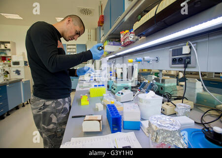 Il centro Biocev della biotecnologia e biomedicina, un progetto per 2.3 miliardi di corone prevalentemente finanziati da fondi UE, era ceremonially aperto nel Vestec, Repubblica ceca, 16 giugno 2016, sei mesi dopo il suo completamento e il lancio dell'operazione. Il centro si concentra su cinque programmi scientifici che sono collegati un strettamente collaborare gli uni con gli altri. I programmi trattano con lo sviluppo di nuovi farmaci e migliorare i metodi di diagnosi, della biologia strutturale, della biochimica di parassiti, virologia e altri problemi. Biocev impiega 397 persone provenienti dalla Repubblica ceca e all'estero, una metà di essi essendo scienti Foto Stock