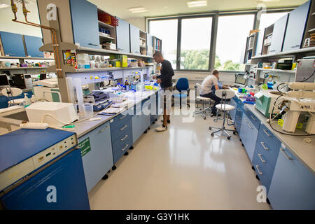 Il centro Biocev della biotecnologia e biomedicina, un progetto per 2.3 miliardi di corone prevalentemente finanziati da fondi UE, era ceremonially aperto nel Vestec, Repubblica ceca, 16 giugno 2016, sei mesi dopo il suo completamento e il lancio dell'operazione. Il centro si concentra su cinque programmi scientifici che sono collegati un strettamente collaborare gli uni con gli altri. I programmi trattano con lo sviluppo di nuovi farmaci e migliorare i metodi di diagnosi, della biologia strutturale, della biochimica di parassiti, virologia e altri problemi. Biocev impiega 397 persone provenienti dalla Repubblica ceca e all'estero, una metà di essi essendo scienti Foto Stock