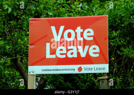 Weston-super-Mare, Regno Unito. 16 Giugno, 2016. Un segno a favore di una votazione a lasciare la Unione europea nel giardino di una casa nel centro del paese. Il referendum per decidere se il Regno Unito dovrebbe rimanere un membro dell'UE avrà luogo giovedì 23 giugno. Foto Stock