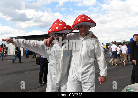 Parc OL, Lione, Francia. 16 Giugno, 2016. Campionati Europei di calcio, Ucraina contro l'Irlanda del Nord. L'Ucraina sostenitori Credit: Azione Plus sport/Alamy Live News Foto Stock