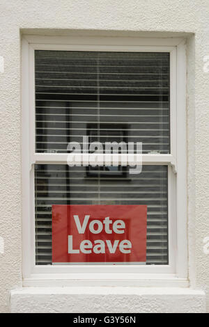 Segno ' votazione lasciare ' dietro una finestra in Cornovaglia, Inghilterra. © Juergen Schwarz / Alamy Live News Foto Stock