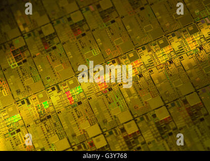 Circuiti (anche chiamato chip) può essere visto su una fetta di silicio in Leibniz Institute di innovazioni per alte prestazioni Microelectronics (IHP) di Francoforte (Oder), Germania, 15 giugno 2016. Più breve il tempo di sviluppo e meno costoso chip: i ricercatori a Francoforte desidera mostrare compagnie high tech altamente precise procedure di misurazione in modo che essi sono in grado di semplificare e accelerare la propria produzione. "Ora nuovi chip microelettronici saranno sviluppati sul tavolo di progettazione senza deviazioni attraverso prototipi, ' spiega Thomas Mausolf del Leibniz Institute of Innovations per elevate prestazioni di microelettronica (I Foto Stock