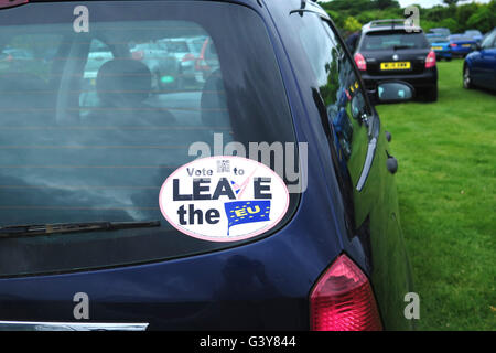 Segno ' votazione a lasciare l'UE ' sulla vettura in Cornovaglia, Inghilterra. © Juergen Schwarz / Alamy Live News Foto Stock