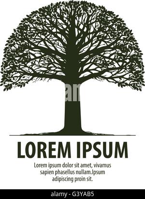 Logo ad albero. Silhouette di icona di quercia. Natura, ecologia simbolo. Illustrazione Vettoriale Illustrazione Vettoriale