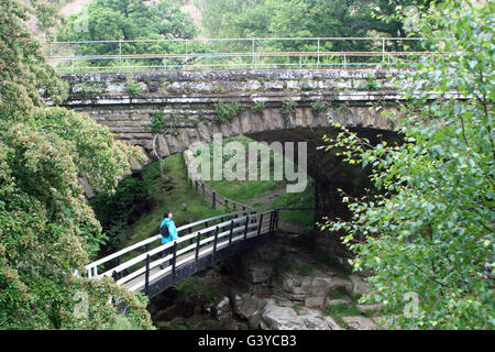 Acqua Arca ponte sopra il fiume Esk Foto Stock