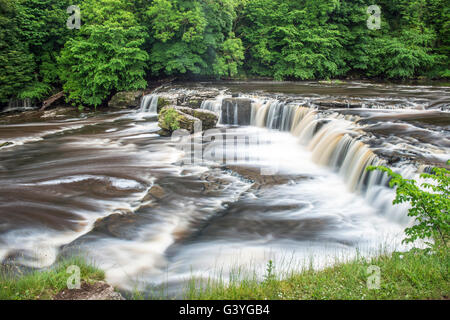 Aysgarth superiore scende in Wensleydale, Yorkshire Dales National Park Foto Stock