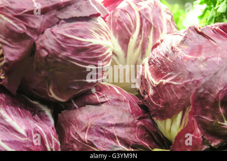 Radicchio, supporto vegetale, Mercato alimentare, Grand Central Terminal, NYC,USA Foto Stock