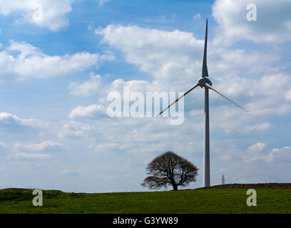 Turbina eolica e albero vicino a Brassington nel distretto di Peak Derbyshire Dales England Regno Unito Foto Stock