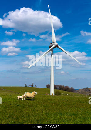 Turbina eolica e pecore vicino Brassington nel distretto di Peak Derbyshire Dales England Regno Unito Foto Stock