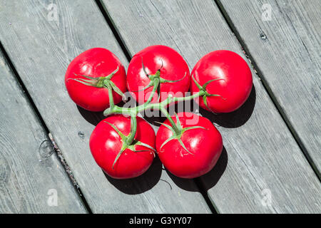 5 pomodori rossi in cerchi olimpici forma a sfondo legno piano Foto Stock