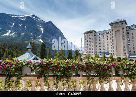 Il Lago Louise, CANADA - luglio 2: fiori estivi decorano il famoso Chateau Lake Louise motivi Luglio 2, 2014. Foto Stock