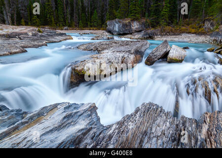 Impetuose acque del Fiume Kicking Horse scolpisce attraverso le rocce a ponte naturale nel Parco Nazionale di Yoho nel Canadian Roc Foto Stock