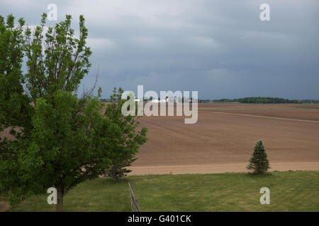 Nuvole temporalesche raccolte nel nord dell'Illinois farmland. Foto Stock