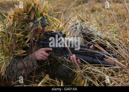 Stati Uniti Marine mira in su target durante la formazione da cecchino. Foto Stock