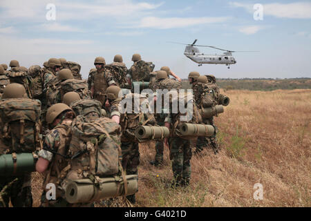 Aspiranti guardiamarina guardare come un U.S. Marine Corps CH-46 Sea Knight elicottero decolla. Foto Stock