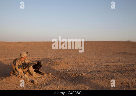 Un gestore del cane con gli Stati Uniti Marine Corps prende una pausa. Foto Stock