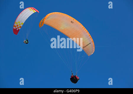 Due parapendii battenti contro il profondo blu del cielo Da Duna del Pyla Francia meridionale Foto Stock