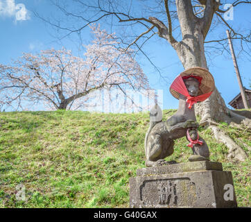 FUKUSHIMA, Giappone - APR 15,2016: Fushimi Inari stone fox guarda i cancelli in legno a Tsuruga castello circondato da centinaia di sakura t Foto Stock