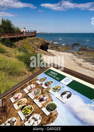 Senda Litoral. Percorso passerella in legno percorso spiaggia, Mijas provincia di Malaga Costa del Sol. Andalusia Spagna del sud Europa Foto Stock