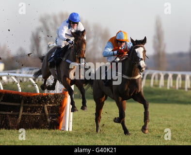 Jockey Robert Thornton su Pride in Battle (a destra) cancella l'ultimo recinto e vince davanti al secondo posto Tony McCoy su Radetsky March all'ippodromo di Newbury, Newbury. Foto Stock