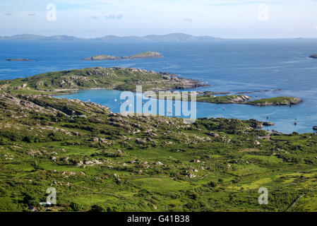 Testa di agnelli, Abbazia Isola, Ring of Kerry, Irlanda Foto Stock