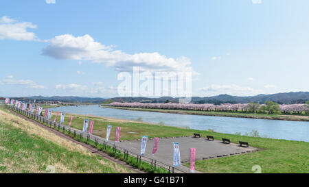 Vista del Parco Tenshochi nella prefettura di Iwate,Giappone è famosa per gli oltre 10.000 ciliegi piantati a fianco del Kitakami Foto Stock