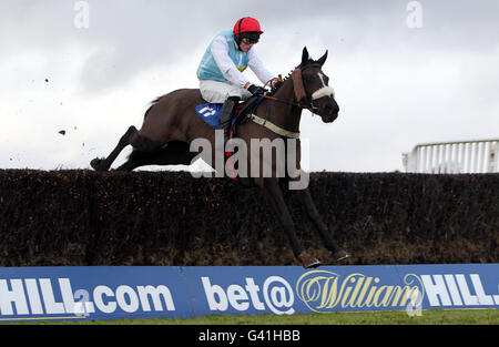 Corse di cavalli - Ippodromo di Hereford. Hobb's Dream guidato da Mark Quinlan sulla strada per la vittoria nella Lindley Catering handicap Chase all'ippodromo di Hereford, Hereford. Foto Stock