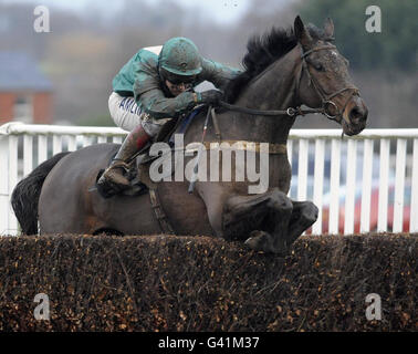 Stop the Show, guidato da Richard Johnson salta l'ultimo per vincere l'handicap starsportsbet.co.uk Steeple Chase durante il Raceday di gennaio all'ippodromo di Plumpton, East Sussex. Foto Stock