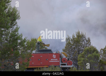 Carcaixent, Valencia, Spagna. 17 Giugno, 2016. Vigile del fuoco in incendio di foresta nel termine di Carcaixent, Valencia, Spagna. Credito: Salva Garrigues/Alamy Live News Foto Stock