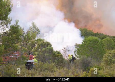 Carcaixent, Valencia, Spagna. 17 Giugno, 2016. Vigile del fuoco in incendio di foresta nel termine di Carcaixent, Valencia, Spagna. Credito: Salva Garrigues/Alamy Live News Foto Stock