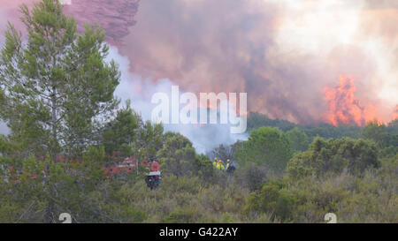 Carcaixent, Valencia, Spagna. 17 Giugno, 2016. Vigile del fuoco in incendio di foresta nel termine di Carcaixent, Valencia, Spagna. Credito: Salva Garrigues/Alamy Live News Foto Stock