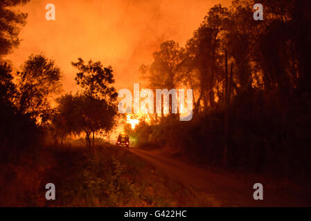 Carcaixent, Valencia, Spagna. 17 Giugno, 2016. Lo spagnolo UME combattere il fuoco, Carcaixent, Valencia, Spagna Credito: Salva Garrigues/Alamy Live News Foto Stock